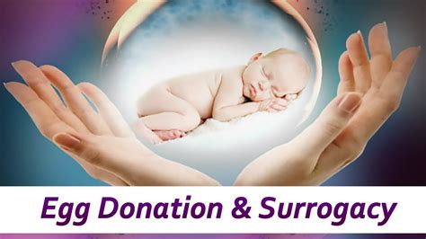 Egg Donation Surrogacy Youtube