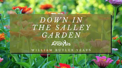 Down By The Salley Gardens By William Butler Yeats Poem Analysis