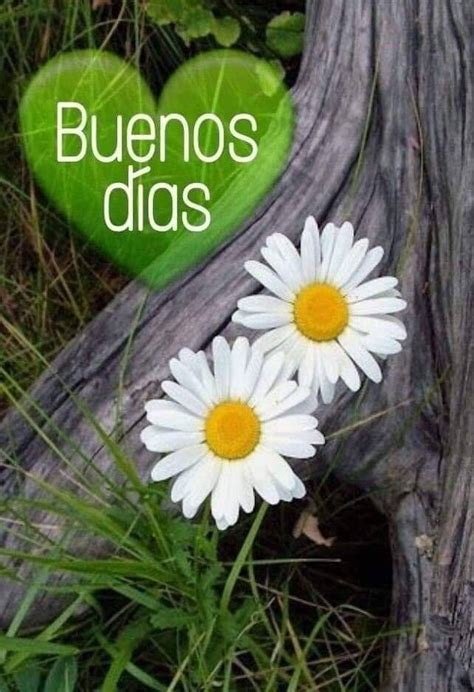 Pin By Cristina S Enz On Buenos D As Good Morning Texts Good Morning