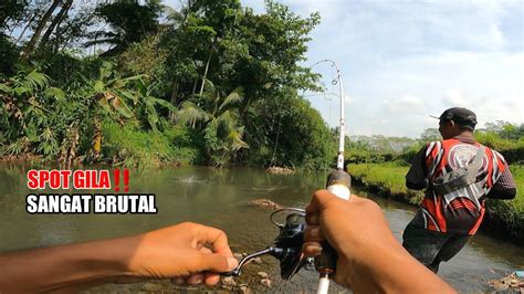 EDANN IKAN SANGAT BERINGAS SENAR PANCING SAMPAI PUTUS YouTube