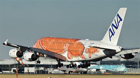 祝・a380 3機体制！ana フライングホヌ 3号機“ラー”「ja383a」、1020〜ホノルル線就航 Flyteam ニュース