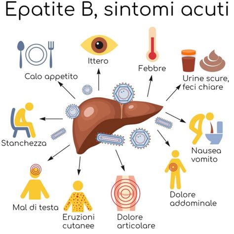 Epatite B Sintomi Vaccino E Cura Valori Normali