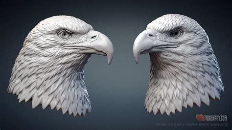 Bald Eagle head sculpture 3d model :: Behance