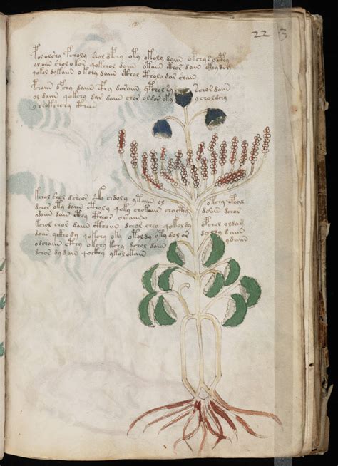 The Voynich Gallery The Complete Manuscript