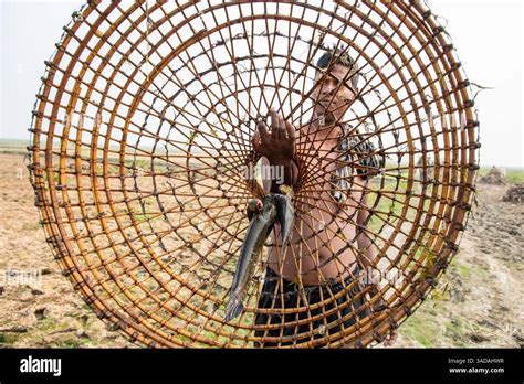 Amateur Asian Hi Res Stock Photography And Images Alamy