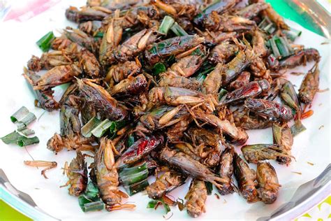 What Will It Take For Americans To Eat Insects Eater