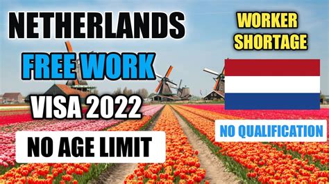 Netherlands Free Work Visa 2022 Essential Start Up Personal Visa Jobs