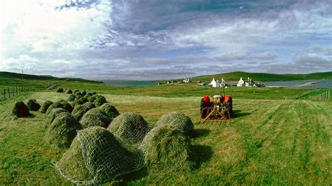 Shetland Island Guide To Yell Northlink Ferries