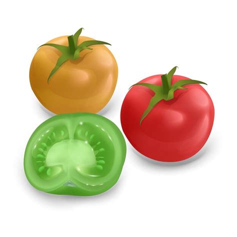 Conjunto De Tomates Maduros Aislados Conjunto De Tomate De Colores