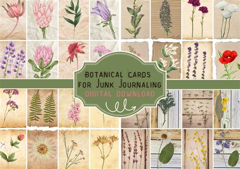 Forest Plants Makes You Beautiful Flower Cards Junk Journals