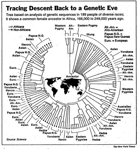 Dating Eve A Case Study In Biochemical Evolution