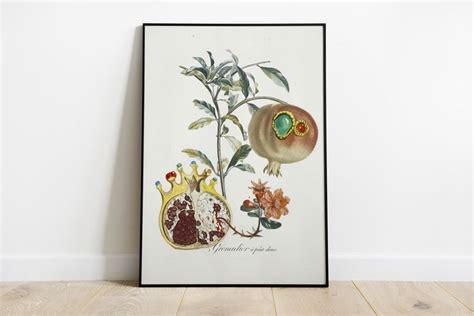 Salvador Dali Pomegranate Art Exhibition Digital Poster Dali Etsy