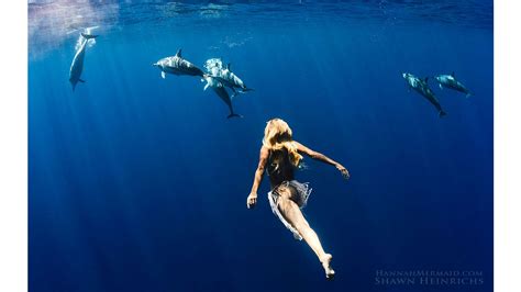 Hannah Fraser A Real Life Mermaid Swims With Sharks And Whales To