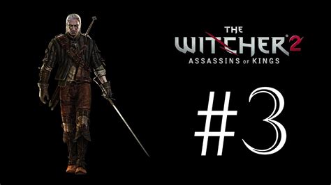 The Witcher 2 3 Abstieg Lets Play The Witcher 2 Youtube