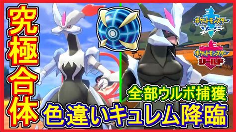 ポケモン剣盾 75 ウルボ色違いキュレム！究極合体！ブラックキュレム・ホワイトキュレム！いでんしのくさびを入手！【メイルス】 Youtube