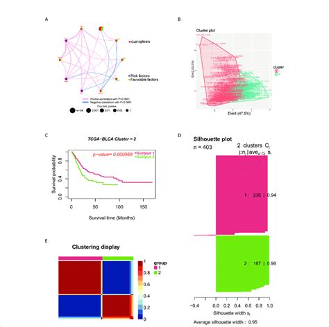 Identification Of Cuproptosis Subtypes In Blca A A Network Of