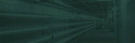 carlsberg group carlsberg shared services