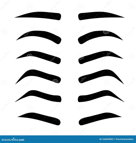 Female Eyebrows in Different Shapes. Female Eyes with Different Forms ...