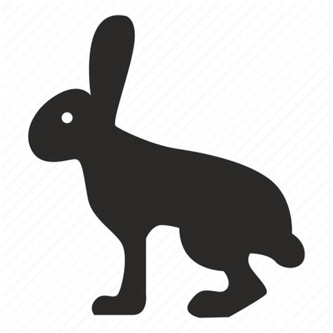 Animal Rabbit Run Start Icon