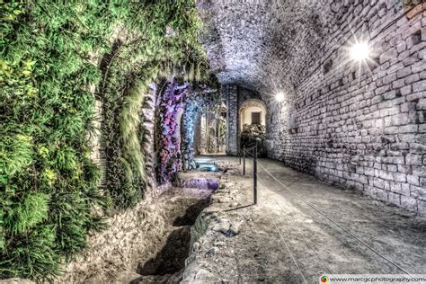 A Garden in the Basement (Girona Cathedral, Catalonia) – Marc G.C.