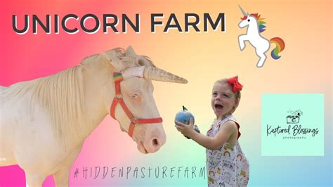 Unicorn Farm Ponny Ride And School Pictures Youtube