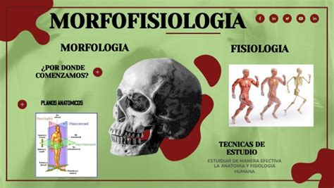 Introduccion A La Morfofisiologia