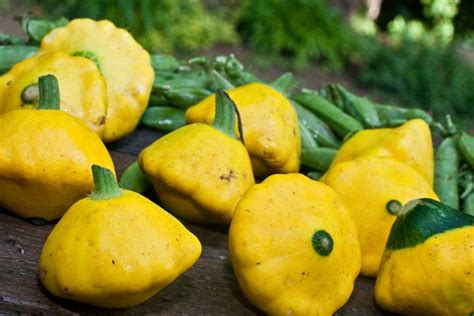 Pattypan squash - Alchetron, The Free Social Encyclopedia