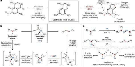 Skeletal Editing Chemistrys Next Frontier Berkeley Scientific Journal