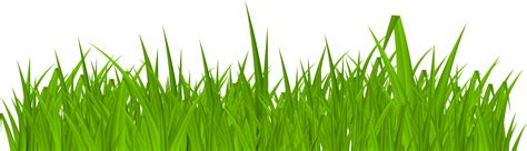 Grass Field Pngs For Free Download