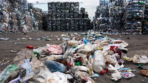 A Plastic Eating Bacterium Might Help Deal With Waste One Day The