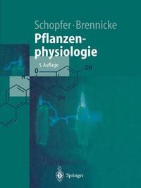 Pflanzenphysiologie Von Peter Schopfer Buch