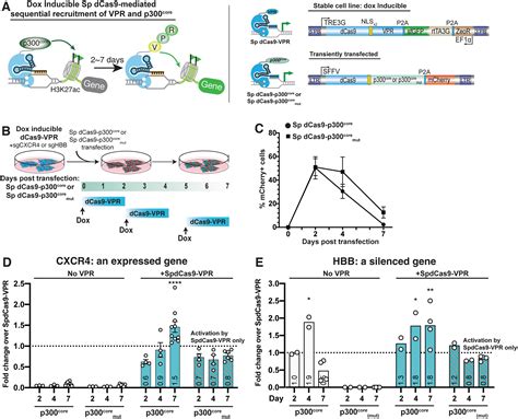 Crispr Mediated Synergistic Epigenetic And Transcriptional Control