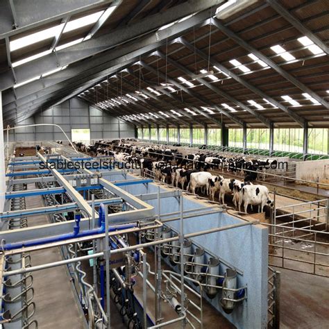 Light Prefabricated Building Construction Prefab Cattle Cow Storage