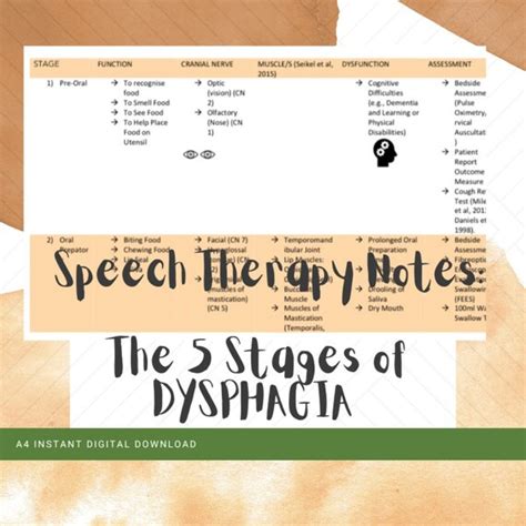 Speech Therapy Notes The 5 Stages Of Dysphagia Etsy