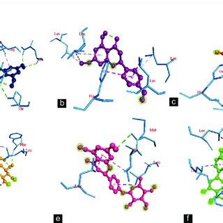 Docking Analysis Of Top Ligands With Il Protein Molecular Docking