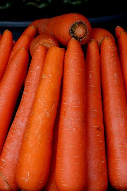 Carrots Vegetable Green Vegetables Free Photo On Pixabay Pixabay