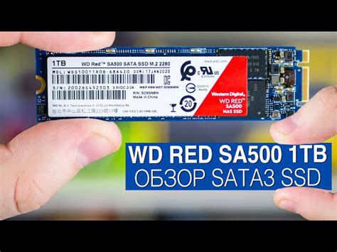 Ssd Накопитель Wd Red Sa500 Wds100t1r0a 1тб Telegraph