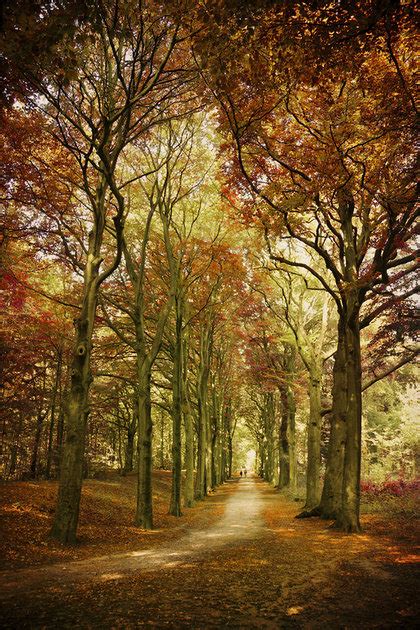 Nature Landscapes By Lars Van De Goor PHOTOGRAPH PIC