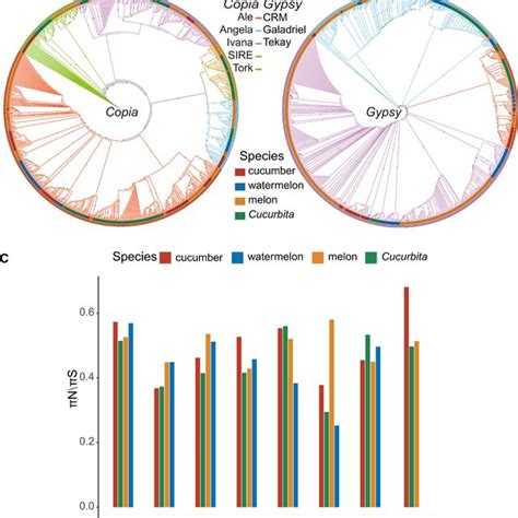 Phylogenetic Analysis And Features Of Ltr Retrotransposons Maximum