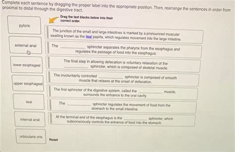 Solved Complete Each Sentence By Dragging The Proper Label Chegg