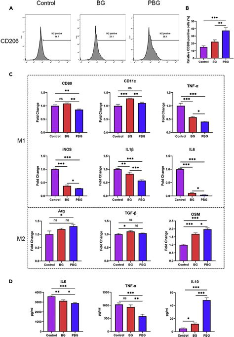 Immunomodulation Effect Of Pbg Download Scientific Diagram