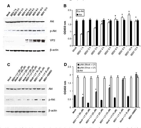 Figure 1 From Infectious Bursal Disease Virus Activates The