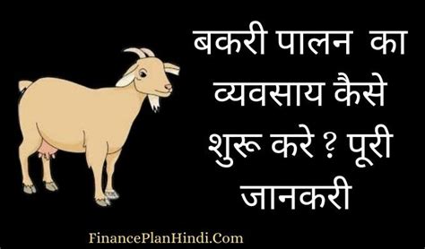 बकरी पालन का व्यवसाय कैसे शुरू करे Goat Farming Business Plan