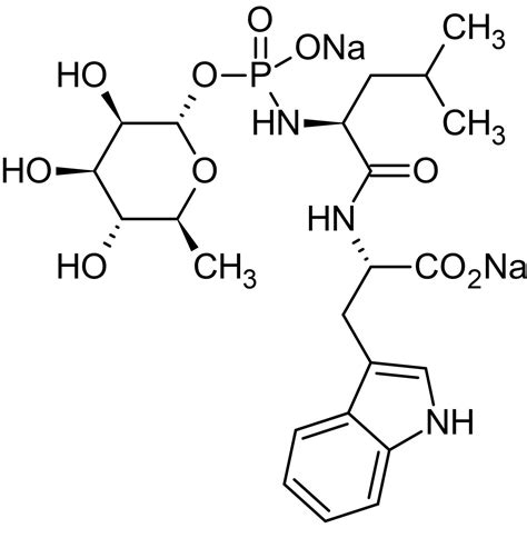 Phosphoramidon Metallo Endopeptidase Inhibitor Ab