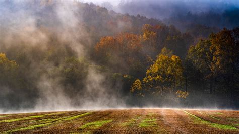 Fog Over The Fields On Behance