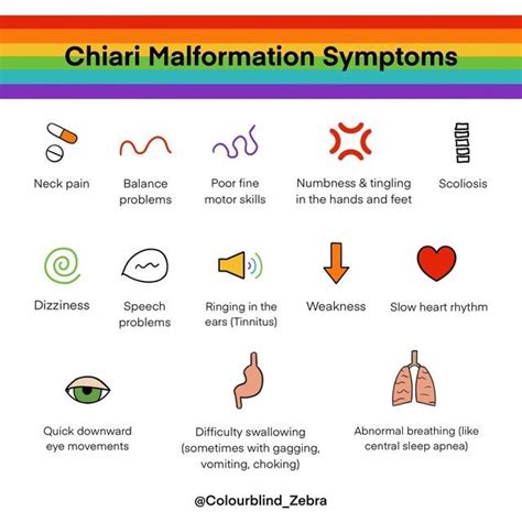 Colourblind Zebra 🌈🌻 On Instagram What Is Chiari Malformation 🧠