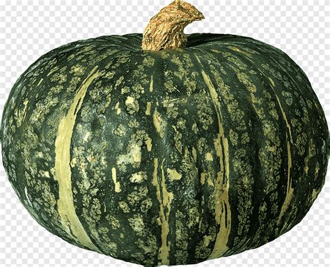 Figleaf Labu Labu Calabaza Cucurbita Pepo Labu Melon Buah Png PNGEgg