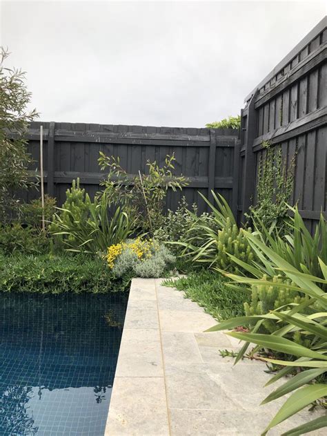 Miniscape Projects Landscape Design Melbourne Pool Landscape Design