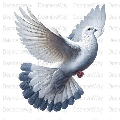 10 Dove Digital Clipart, Dove Illustration, Instant Download, High