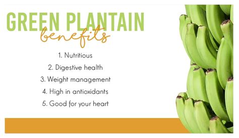 Green Plantain Benefits - Vega Produce: Eat Exotic, Be Healthy